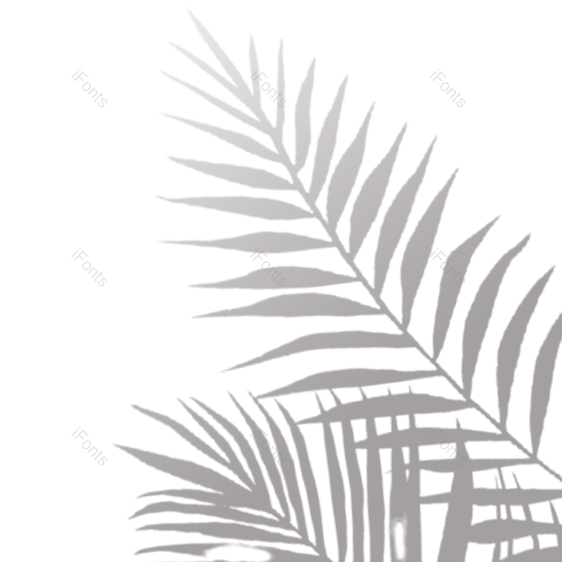 叶子图片,树叶元素,灰色PNG,阳光免抠素材